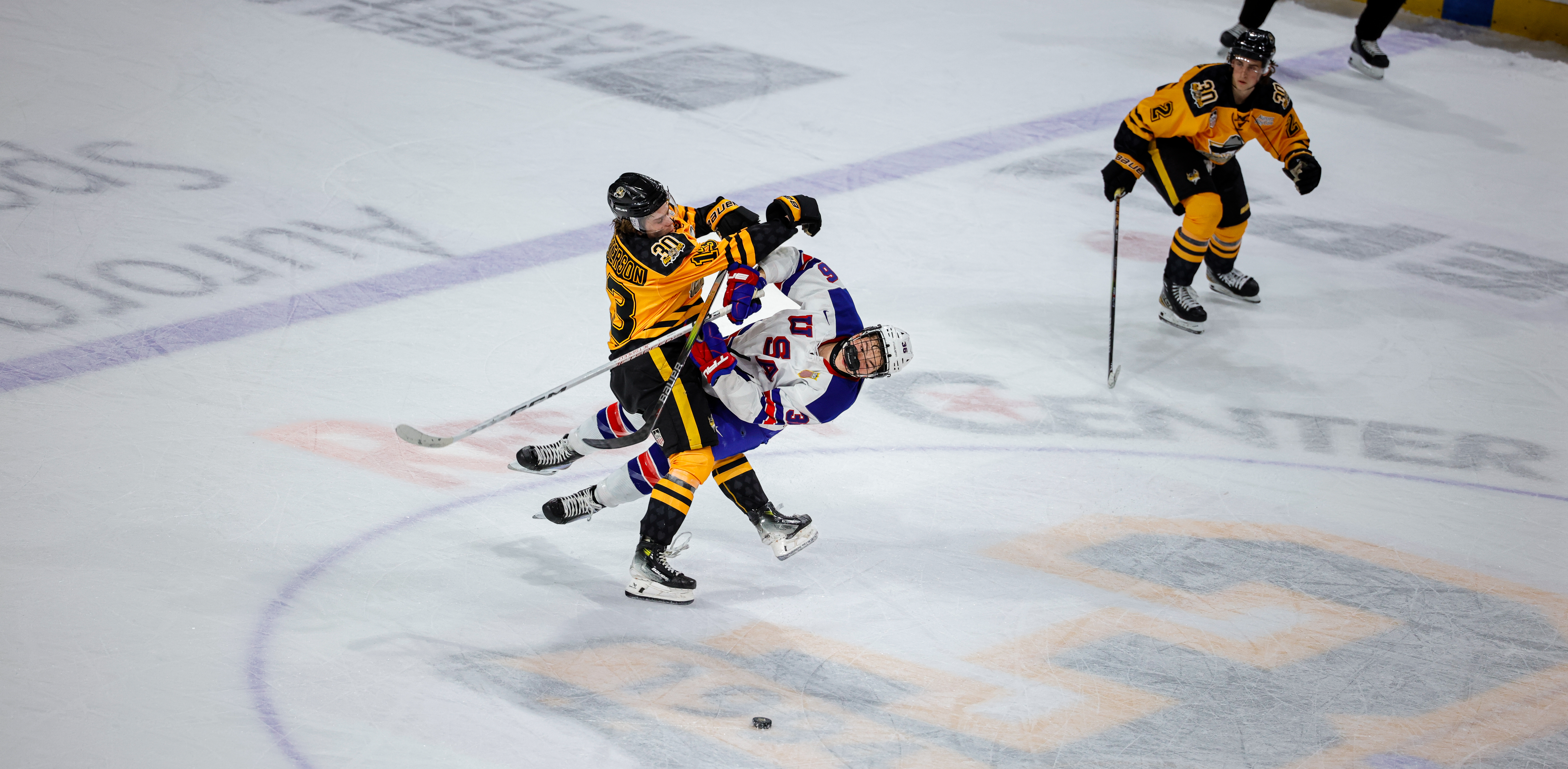 Hockey Check